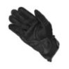 Guantes Held Sambia